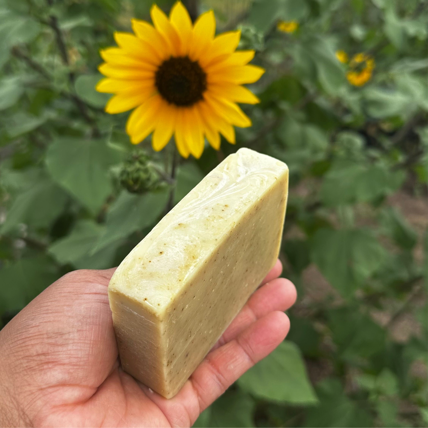 Basil Cilantro Mint Handmade Soap
