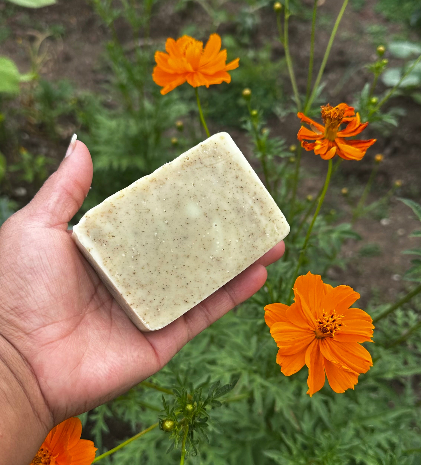 Basil Cilantro Mint Handmade Soap