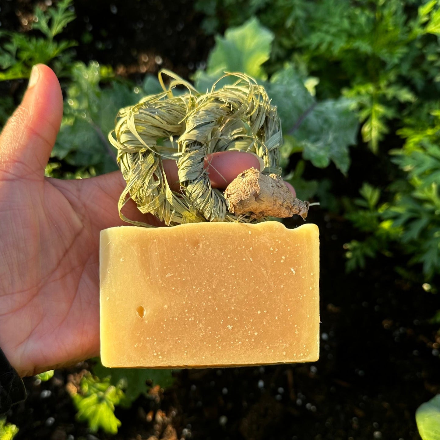 Lemongrass Garden Soap Bar