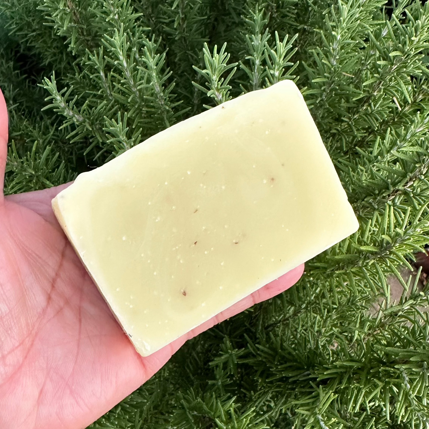 Rosemary Garden Soap Bar