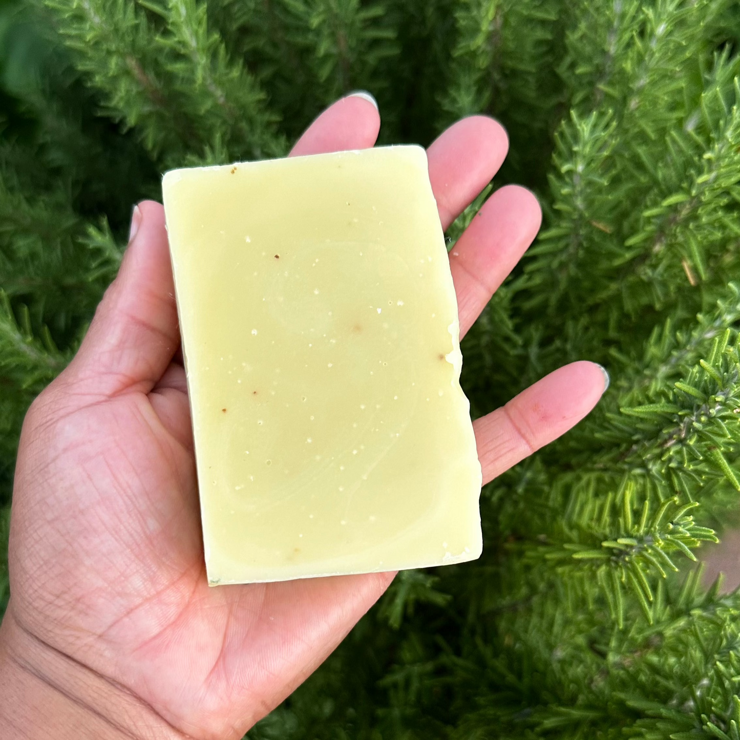 Rosemary Garden Soap Bar