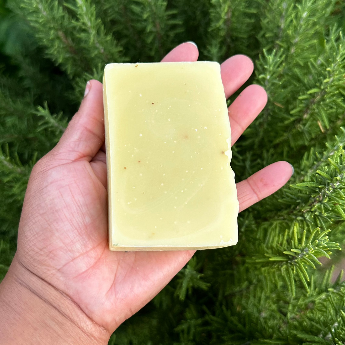 Rosemary Garden Soap Bar